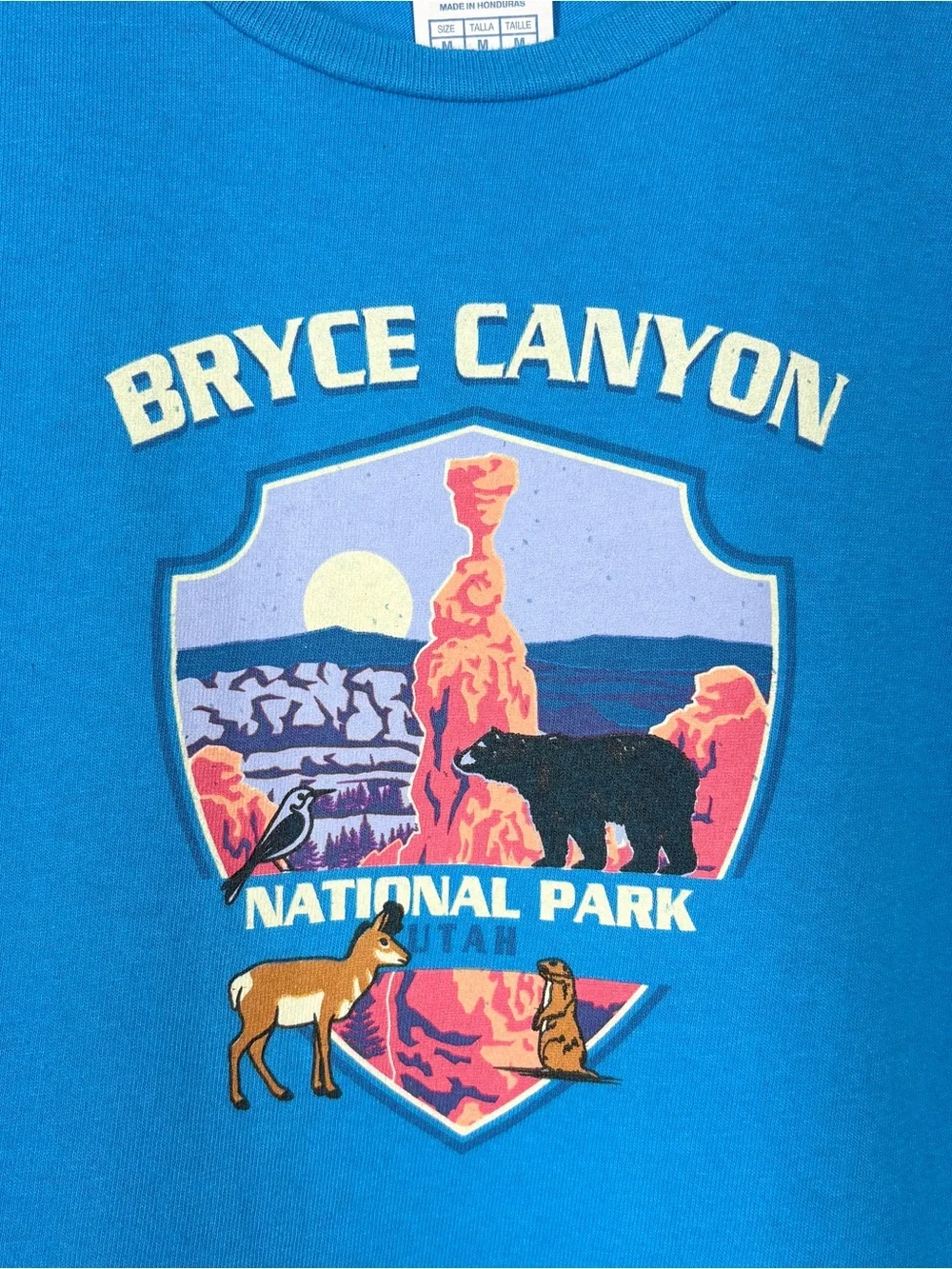 Bryce Canyon Kids Short Sleeve Tee Teal Blue Size Medium